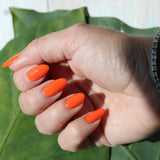 Nail Lacquer in Bird of Paradise