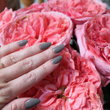 Nail Lacquer in Brunia